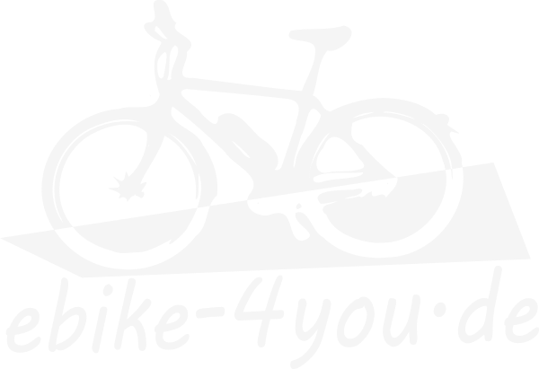 https://www.ebike-4you.de/wp-content/uploads/2016/03/logo_v10_600x403_lightgrey.png