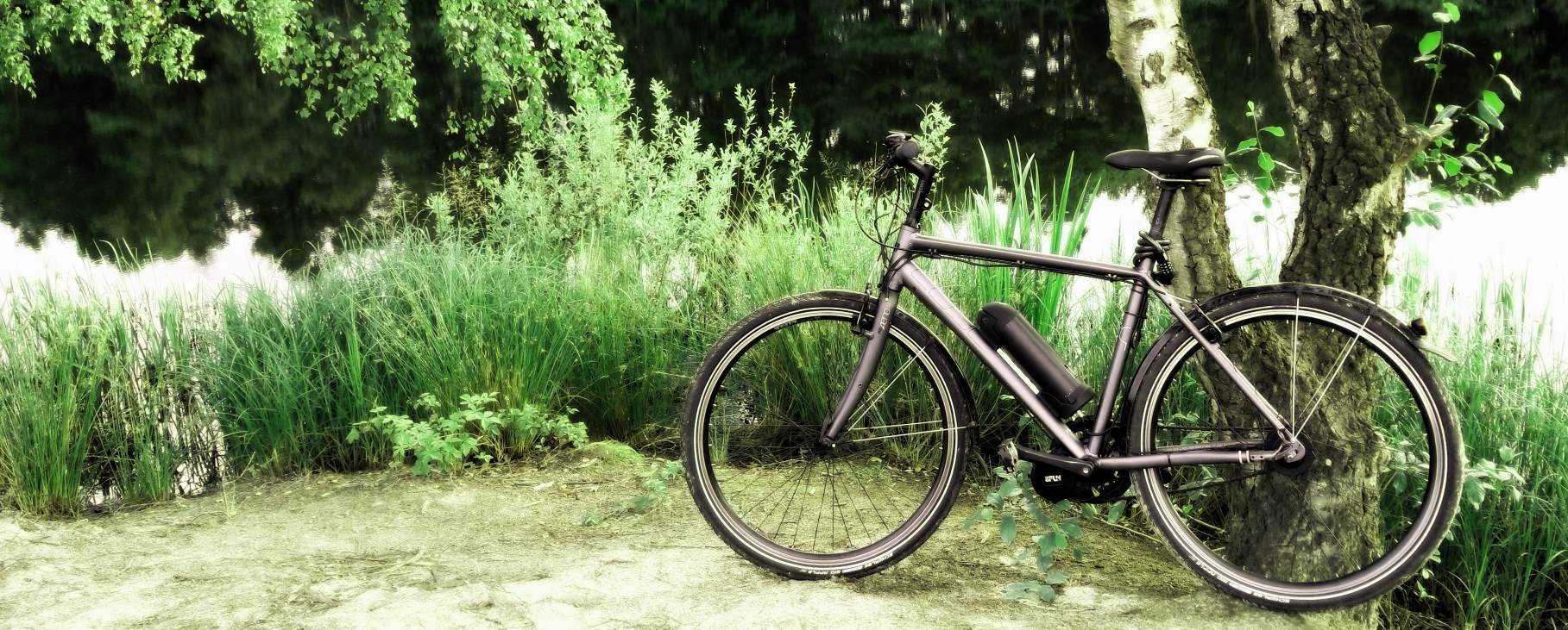 Ebike 4you on sale